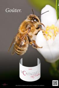  L’ODG de Montagne Saint-Emilion et de Saint-Georges Saint-Emilion a choisi un visuel d’abeille butinant une fleur pour promouvoir ses vins.