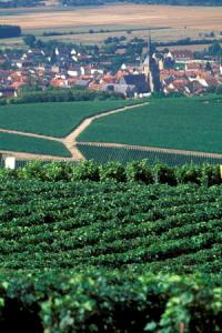 Les coteaux d’Aÿ, en Champagne, rentrent dans les paysages culturels de l’Unesco. © P. ROY