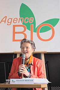 « La viticulture a toujours été très dynamique dans le développement du bio », rappelle Élisabeth Mercier, directrice de l’Agence Bio. É.-A. JODIER