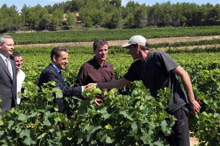 UE : la France se battra pour le maintien des droits de plantation (Sarkozy)