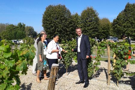 Inauguration du Parcours des vignes par Laurent Gapenne, président de la Maison des vins de Cadillac. ©A.LASCOURREGES 