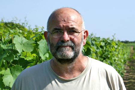 Patrice Laurendeau, président de la Fédération viticole de l’Anjou. © P. TOUCHAIS