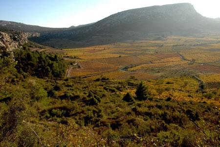 Le CIVR souhaite donner plus de visibilité au vignoble du Roussillon. © CIVR
