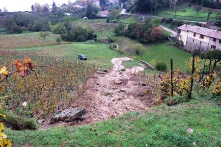 La coulée de boue, provoquée par de fortes pluies, a emporté douze rangs de vignes de ce domaine de Condrieu, dans le Rhône. © DOMAINE JEAN-MICHEL GERIN.