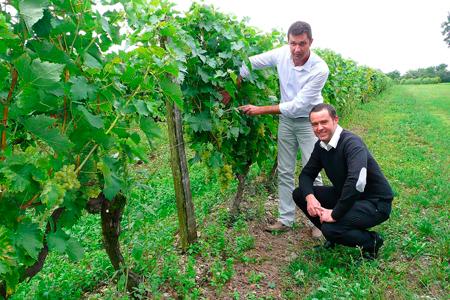 Christophe Forget (debout) et Stéphane Roy, l'ancien et le nouveau président de l'Union générale des viticulteurs pour la défence de l'AOC Cognac (UGVC)  ©Olivier Sarazin/Sud-Ouest