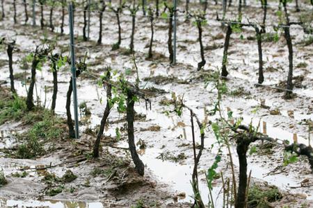 Près de 6 000 hectares de vignobles du Var ont été frappés dimanche en fin d’après-midi par un violent orage de grêle. ©PHOTOPQR/NICE MATIN/FRANK MULLER 
