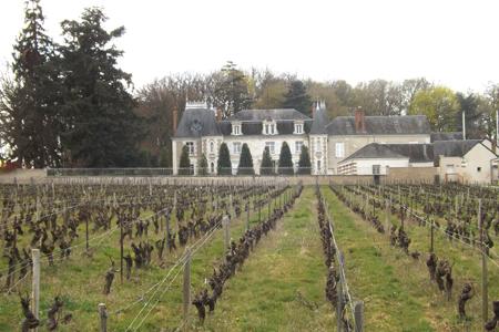 Le château la Gabillière accueille l’exploitation viticole du lycée d’Amboise. © I. PROUST