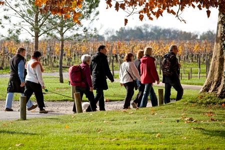 Le tourisme viticole dans le Bordelais a connu une très bonne année 2011, en hausse de 6 % par rapport à l’année précédente. © P. ROY