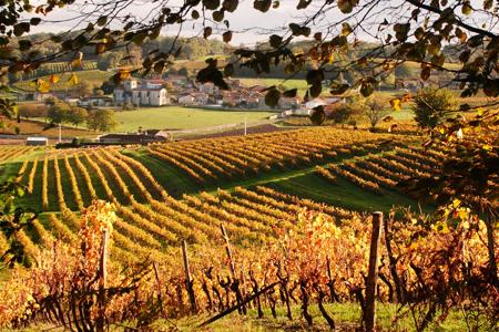 Vignoble situé sur la commune de Saint-Preuil, près de Segonzac (Charente). © BNIC/R. CANTAGREL