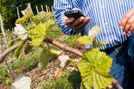 La technologie mobile investit la viticulture. © P. ROY
