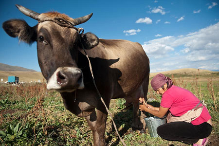 Année internationale de l'agriculture - ©FAO/Sergey Kozmin