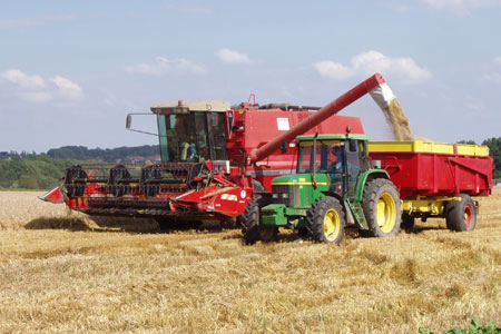 Récolte de blé. Photo : S. Maillard