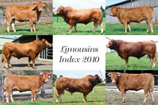 Limousin/Index 2010