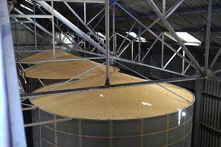 Céréales : pas de stocks publics sur le marché avant novembre (Bruxelles)