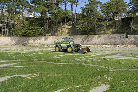 Algues vertes: les agriculteurs bretons font des propositions. Photo: S. Leitenberger