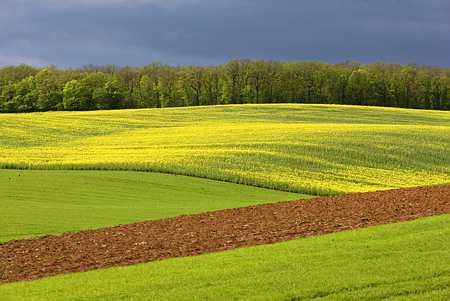 Paysage agricole au printemps (© C. Thiriet)