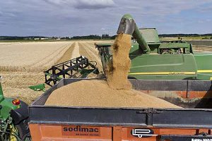Récolte 2012/France : le volume de céréales à paille en hausse de 10 % par rapport à 2011 (FranceAgriMer) ( © Watier)