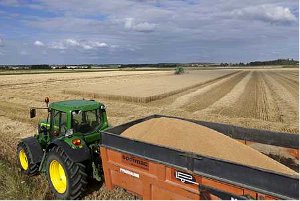 Tracteur remorquant un chargement de blé lors de la moisson (© Watier)