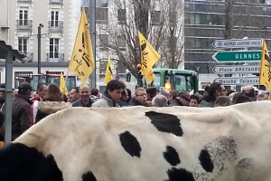 4 janvier 2013 - A Nantes, la Confédération paysanne interpelle le Premier ministre sur la crise de l'élevage (© E. Roussel)