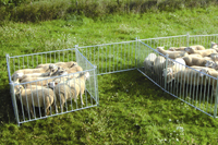 Contention :  des barrières pour moutons chez Beiser Environnement  