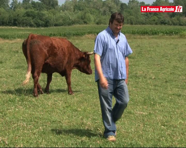 Biodiversité: des agriculteurs préservent les rives de l'Allier (2e partie)