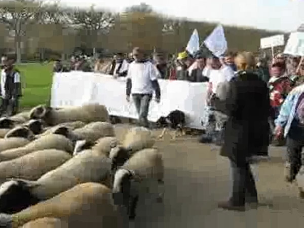 Revenu: un millier de moutonniers manifestent sous la Tour Eiffel